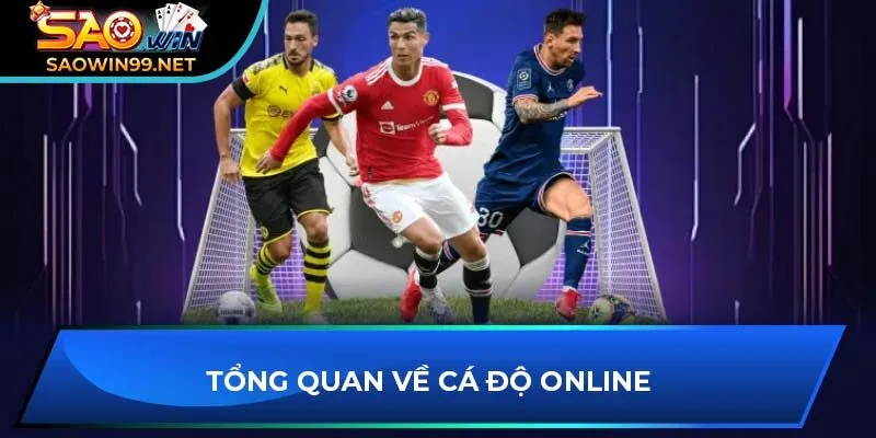 Tổng quan về cá độ online 