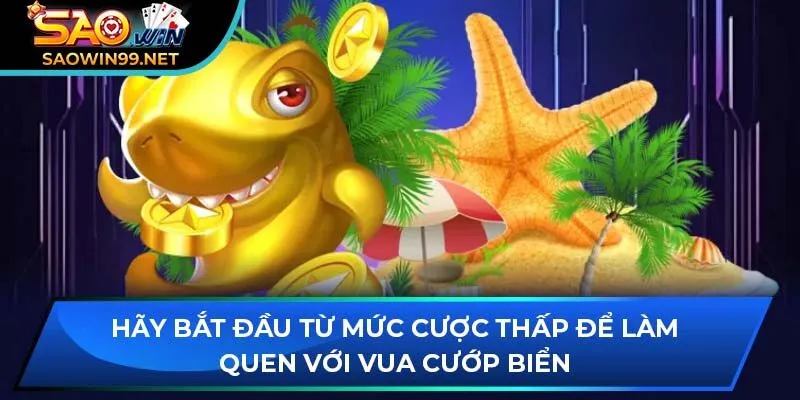 Hãy bắt đầu từ mức cược thấp để làm quen với vua cướp biển